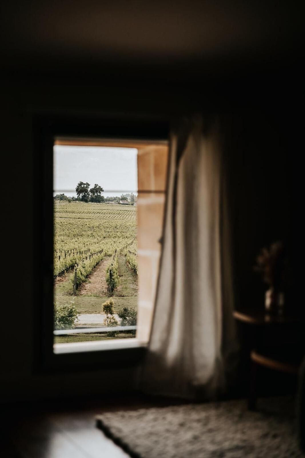 Chateau La Grande Clotte Lussac  Rom bilde